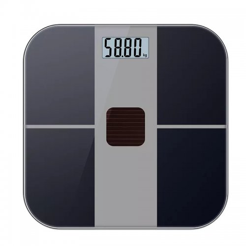 Body Scales, Home Scale